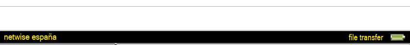 netwise - web design in Spain and the UK